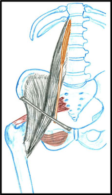 home_image2