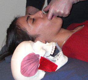 Bodylight Learning - Classes - Intraoral Massage Endorsement